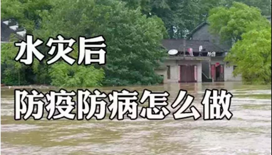 &#20061;&#28216;