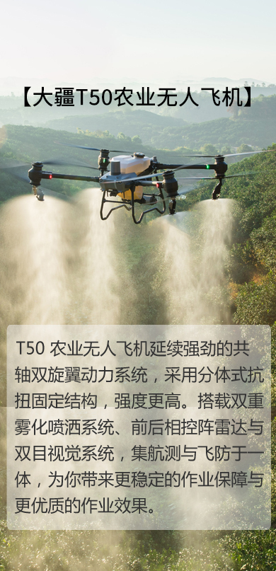 &#20061;&#28216;