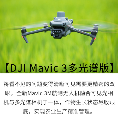 &#20061;&#28216;