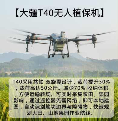 &#20061;&#28216;