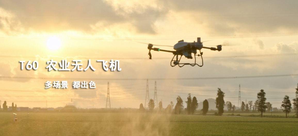 &#20061;&#28216;